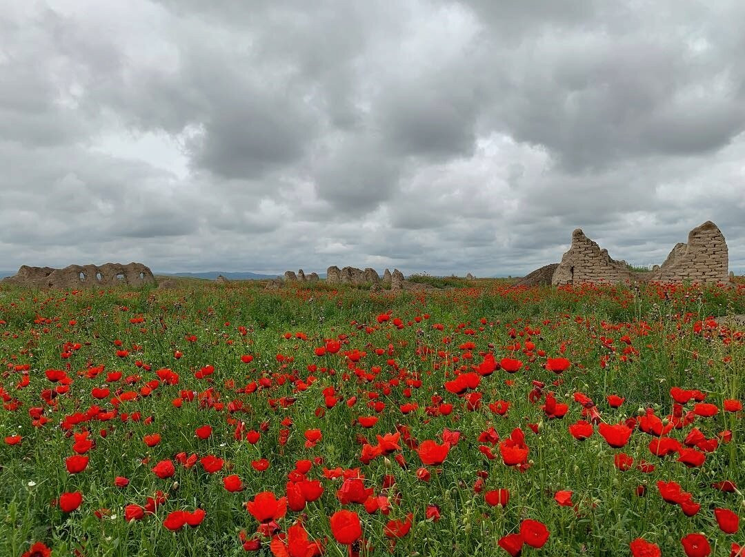 Abiverd Ruins-Kaakhka必去景点
