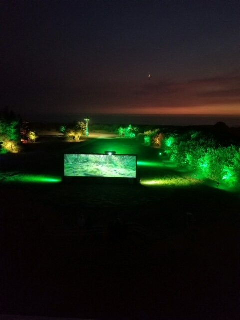 Pacific Reef Hotel主图