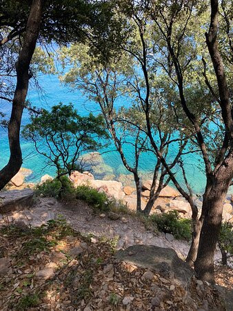 Plage de Ficajola景点图片