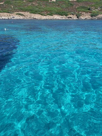 Kanaloa Charter Asinara-Asinara必去景点