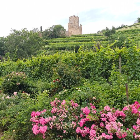 Chateau du Schlossberg-Forbach必去景点