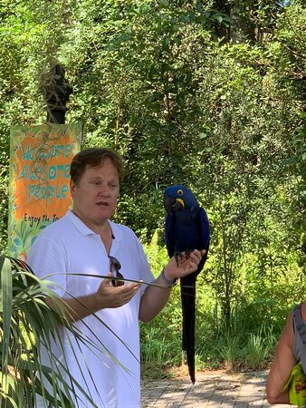 Bird Gardens of Naples-那不勒斯必去景点