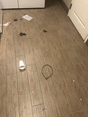 Homewood Suites By Hilton Sarasota主图