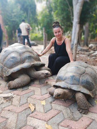 ahmed adventure tour-帕杰必去景点
