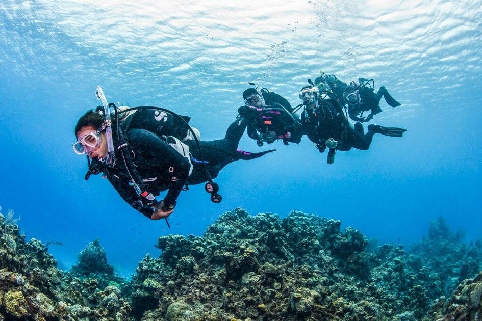Reef Oasis Diving Center | Fujairah景点图片