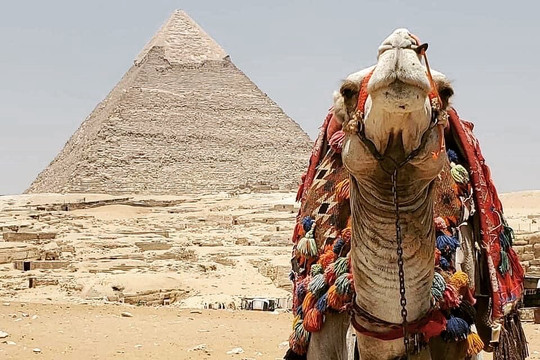 Mo Luxury Tours-亚斯文必去景点