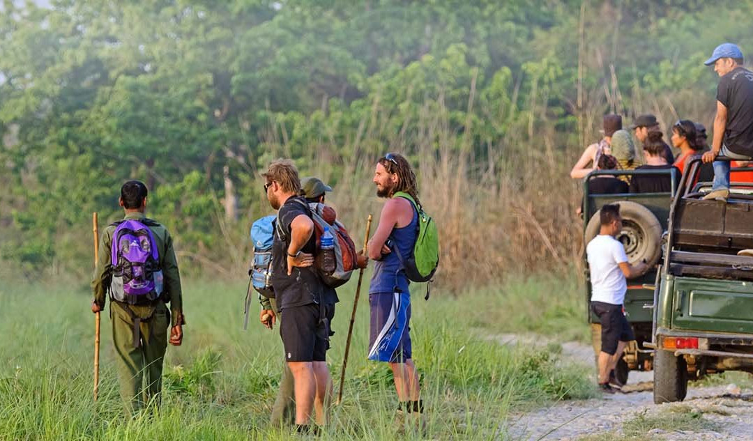 Wildlife Expedition and Safari