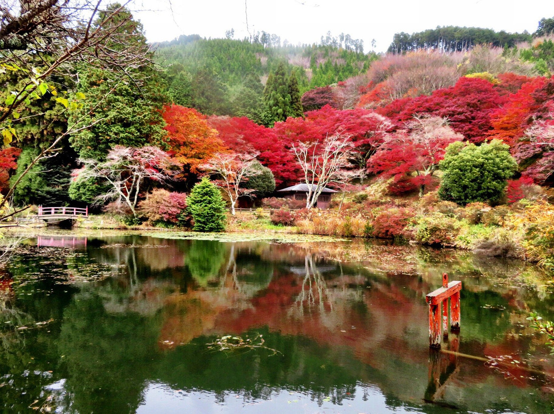 Torimiyama Park景点图片