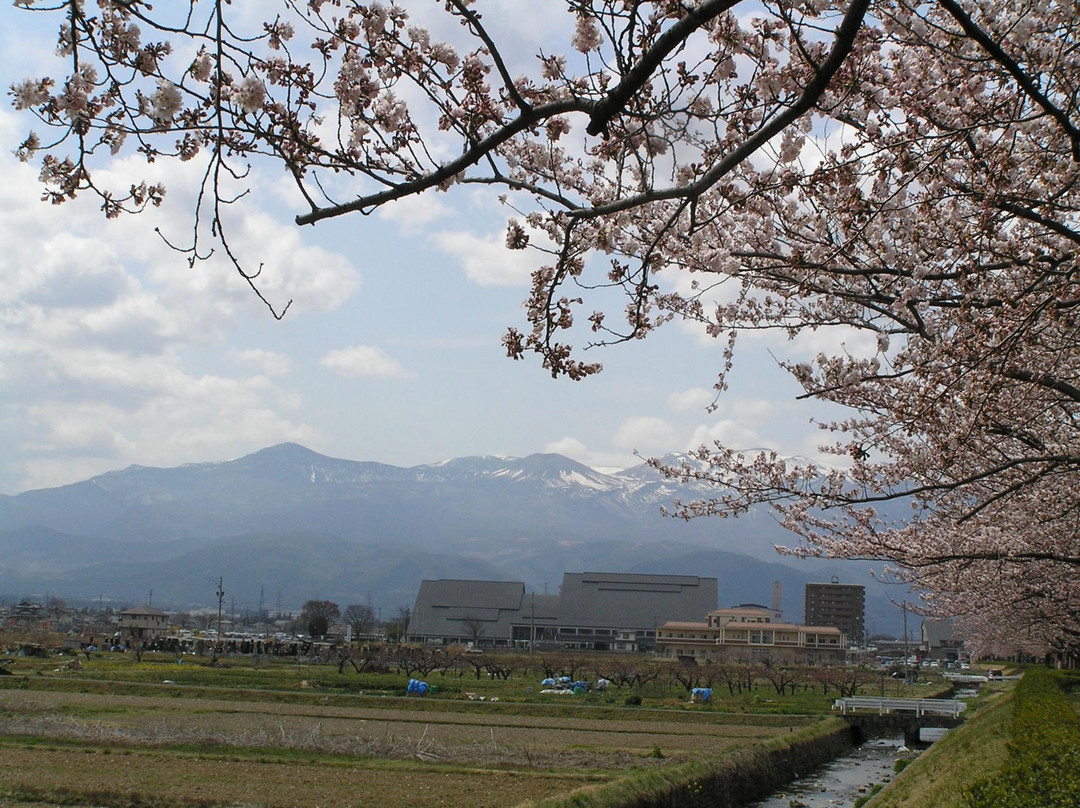 Arakawa Sakura Tsuzumi River Park景点图片