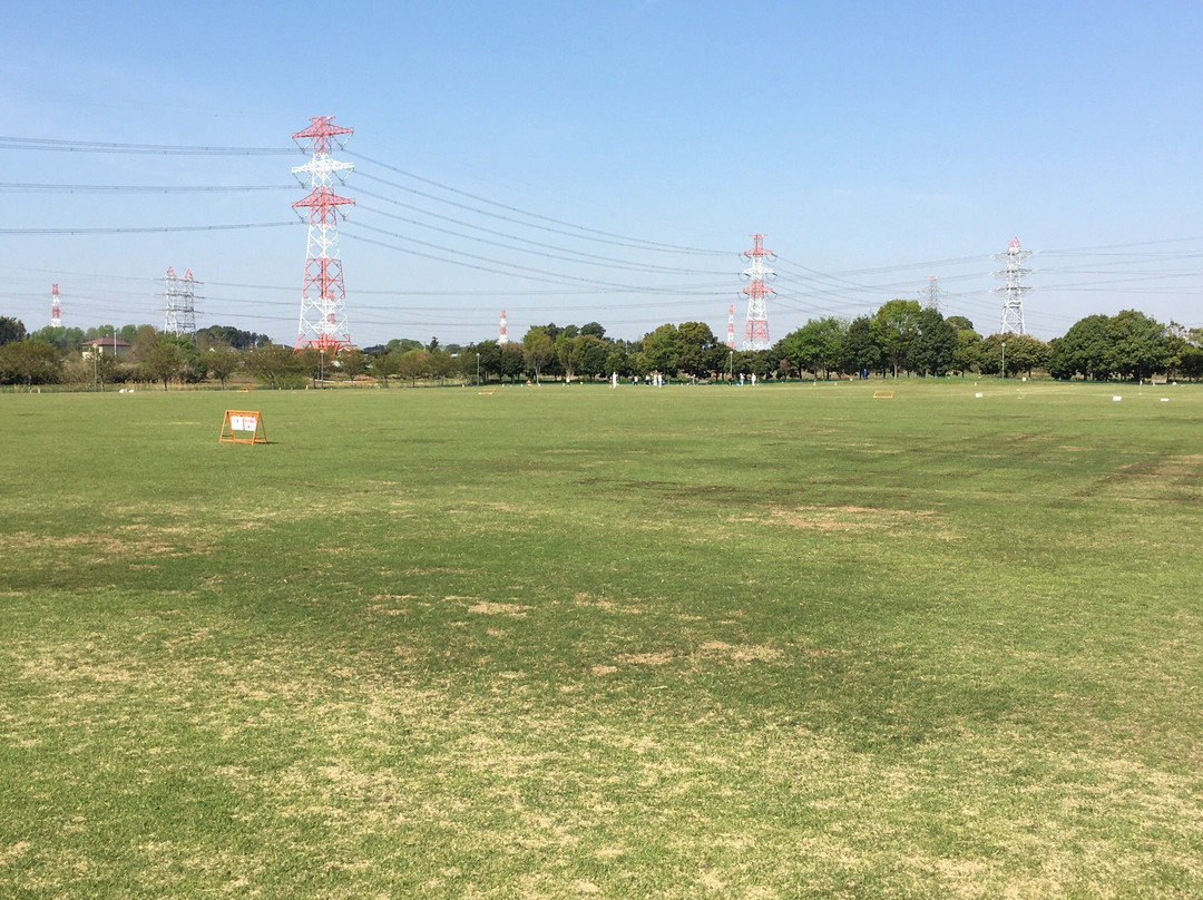 南埼玉郡旅游攻略图片