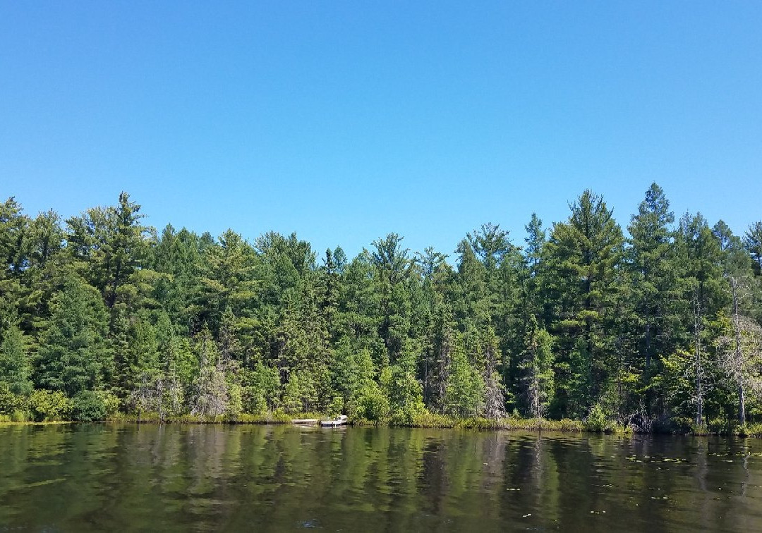 Rhinelander旅游攻略图片