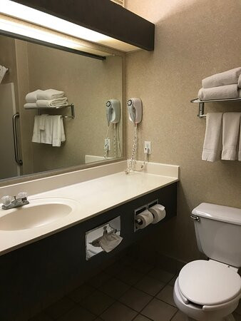 Comfort Suites University主图