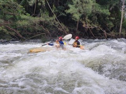 C-Change Adventures-科夫斯港必去景点