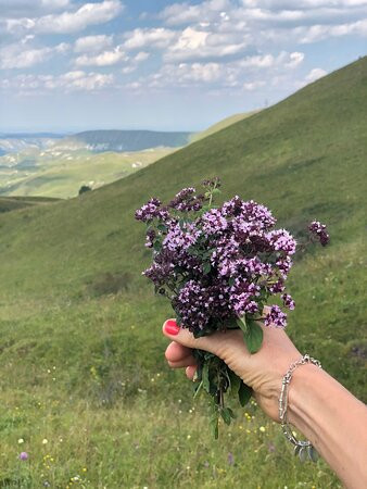 Bolshoye Sedlo Mount景点图片