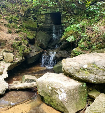 Cook Forest State Park-Cooksburg必去景点