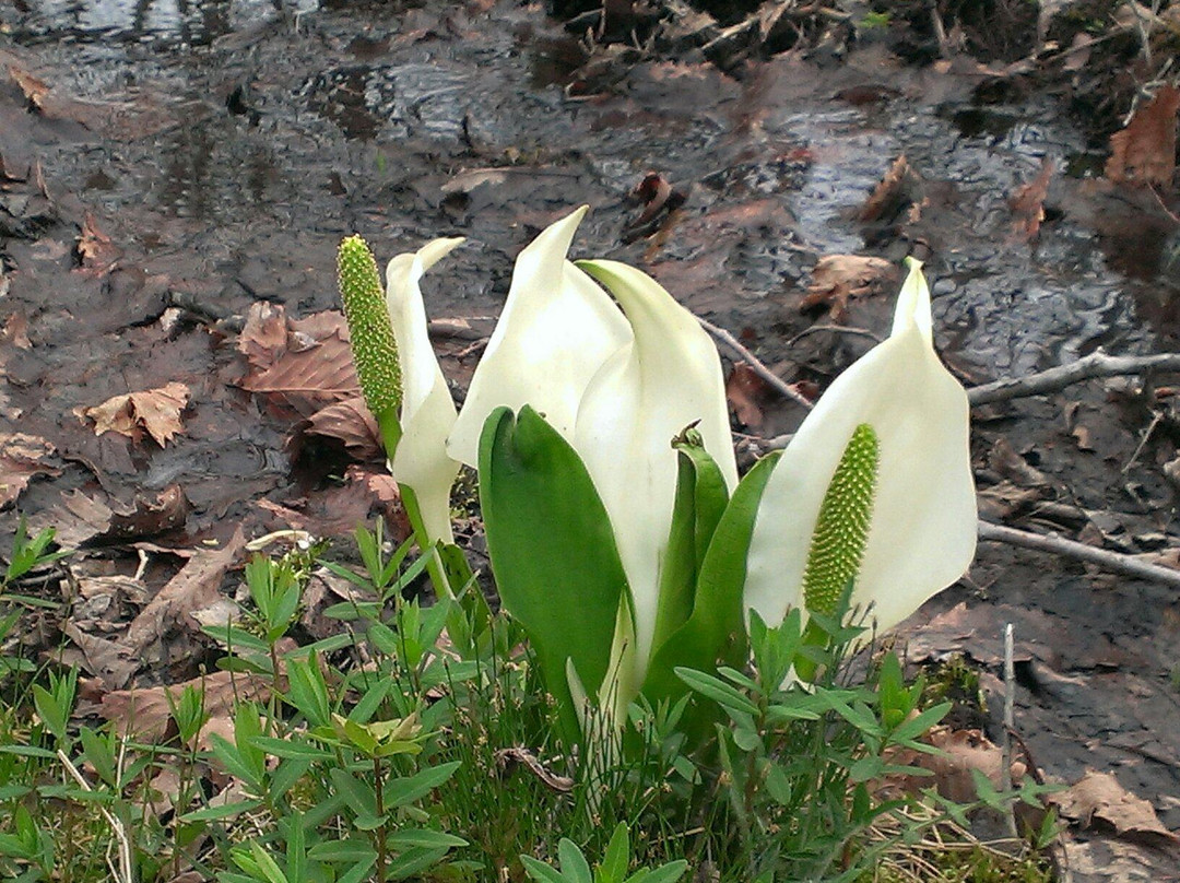Lake Gando-盛冈市必去景点