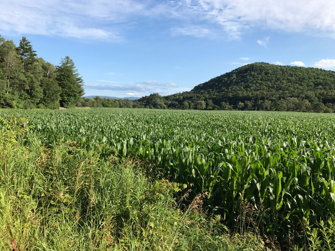 Hyde Park旅游攻略图片