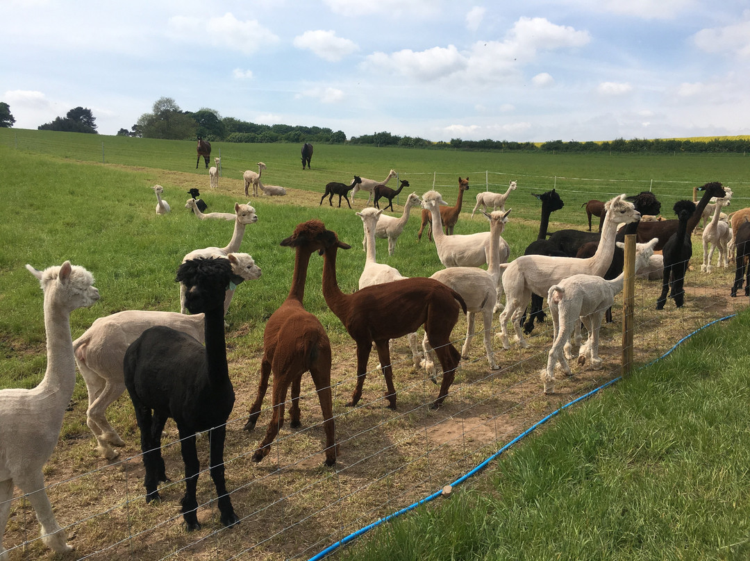 Boundary旅游攻略图片