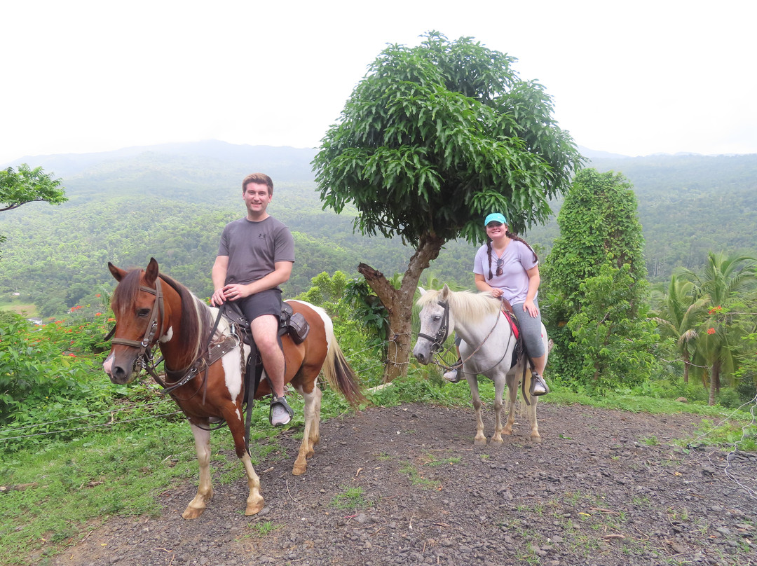 La Vista Rides-Rio Grande必去景点