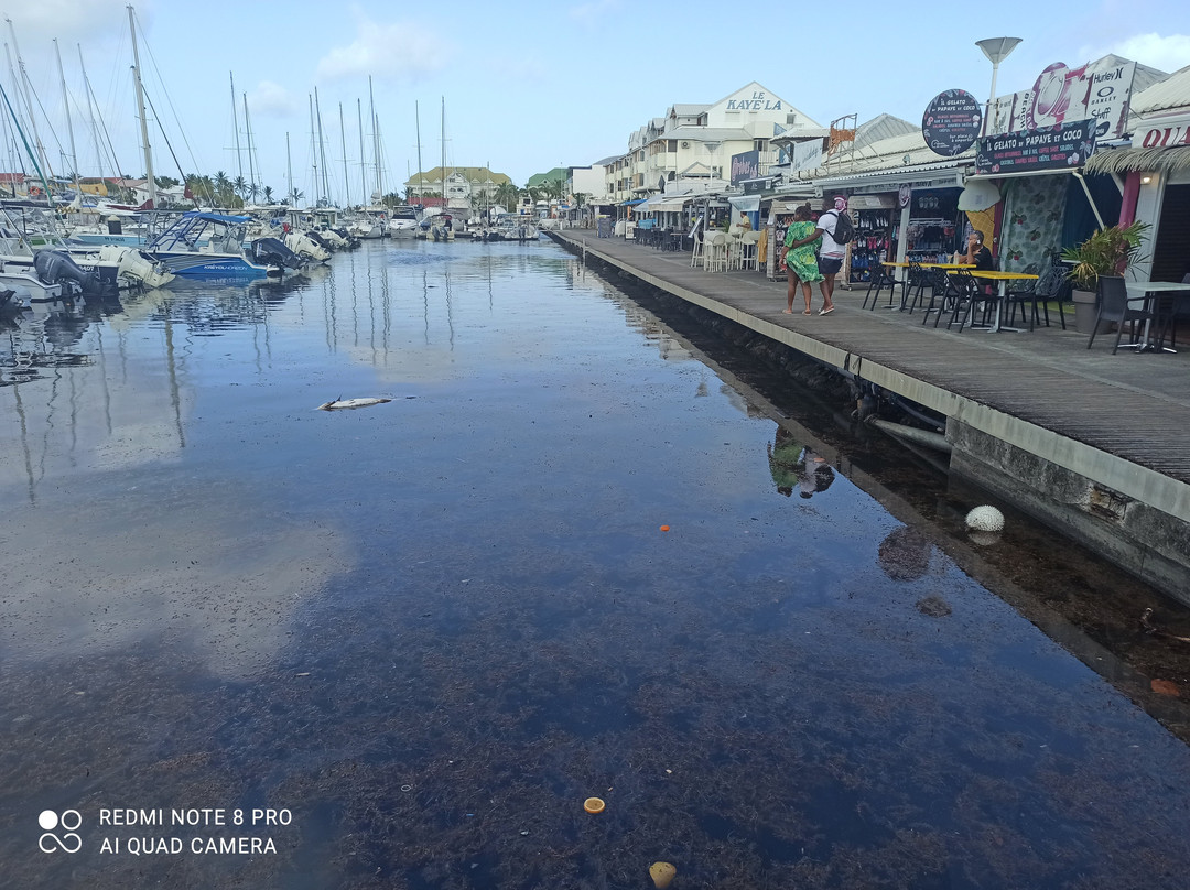 Marina De Saint François景点图片