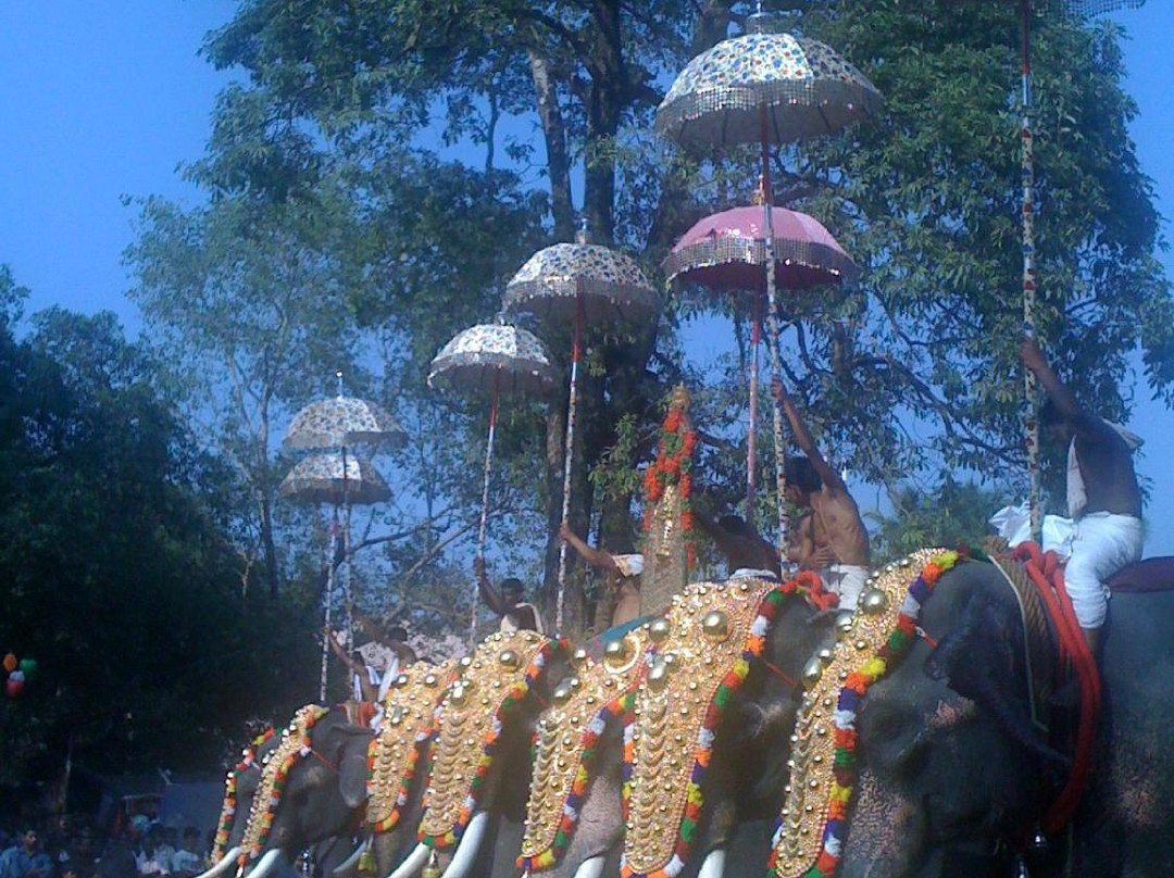 Kodungallur Bhagavathi Temple景点图片