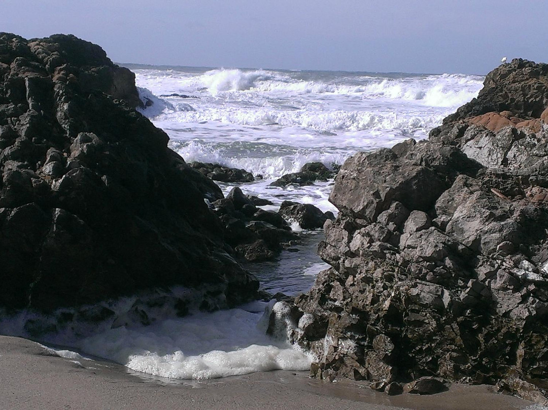 Pescadero Marsh Natural Preserve-佩斯卡德罗必去景点