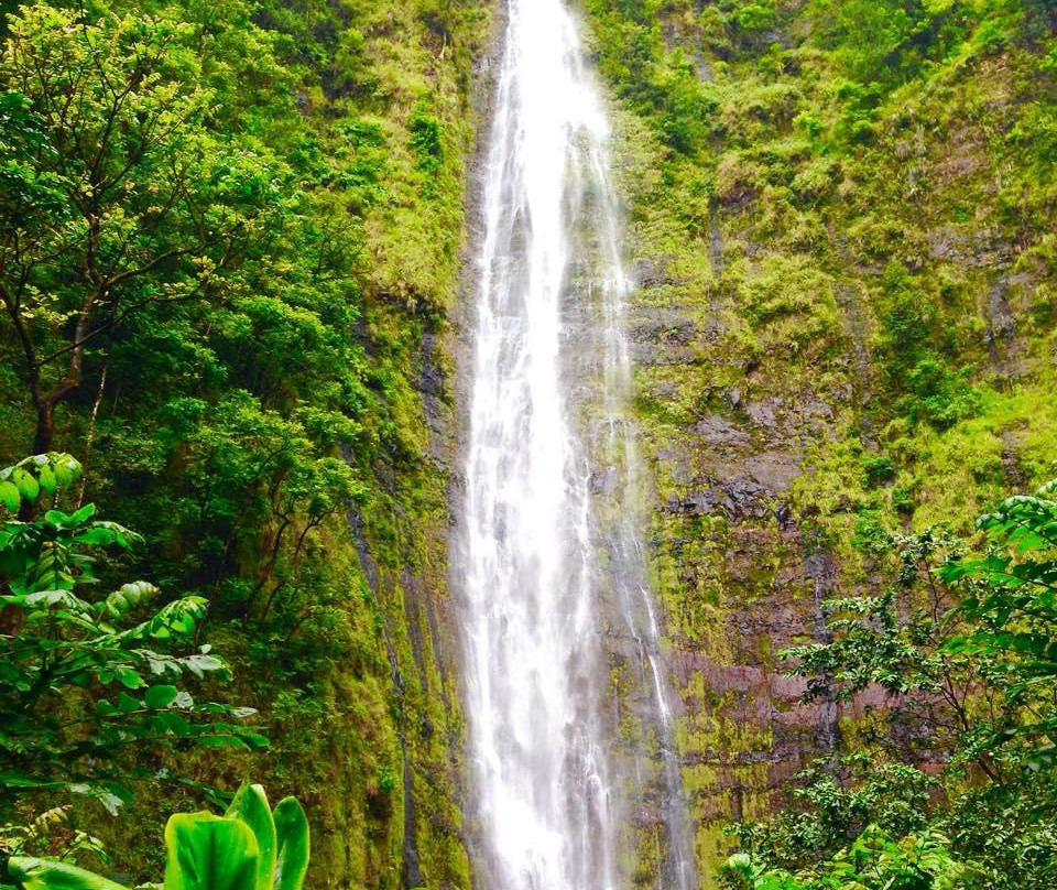 Waimoku Falls景点图片