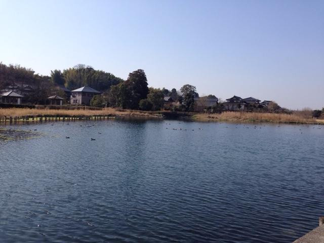 Ukishima Shrine景点图片