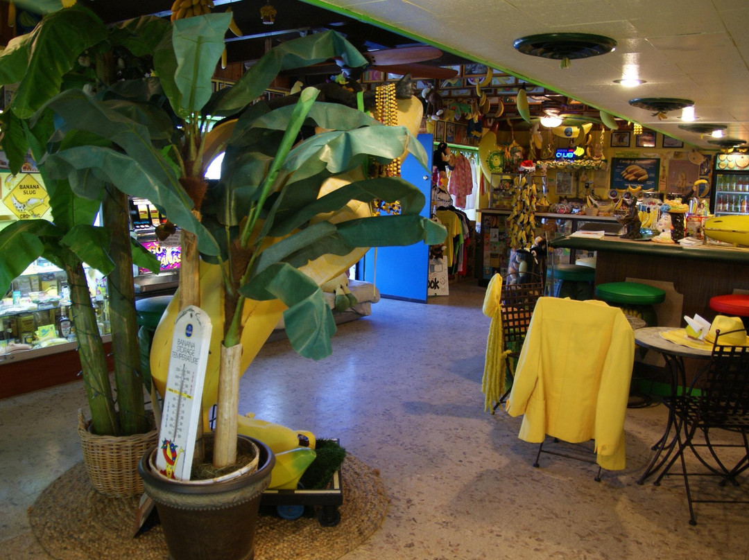 Mecca旅游景点-International Banana Museum