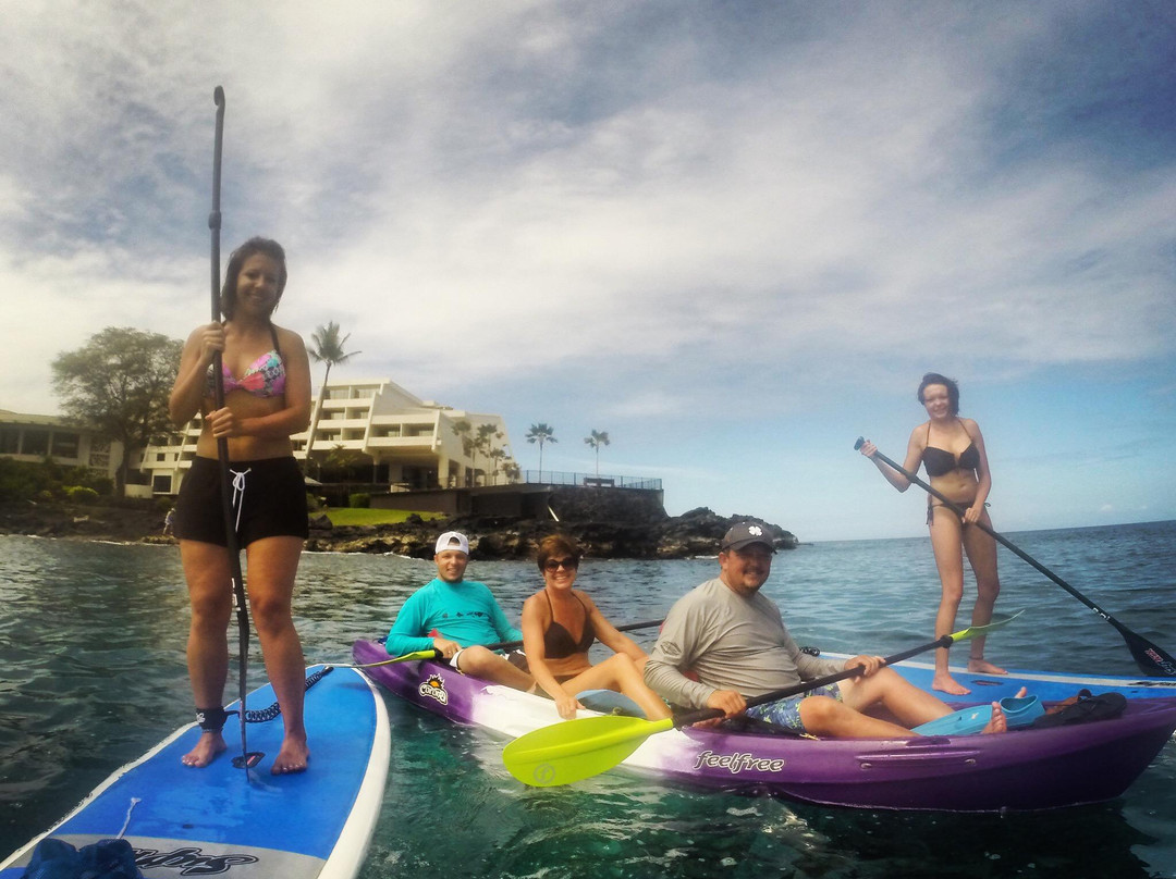 Kona Paddle Sports-凯鲁瓦-柯纳必去景点