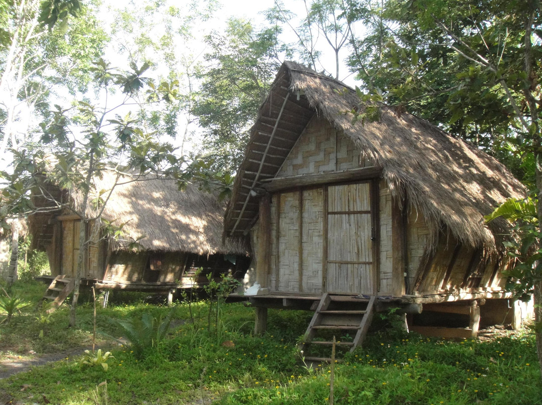 DakViet Travel - Day Tours-托伯莫里必去景点