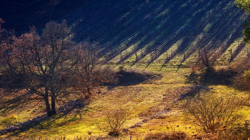 Domaine Val d'Iris景点图片