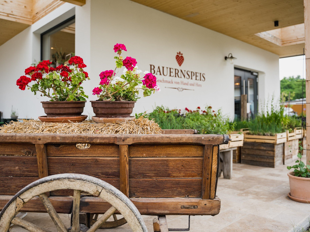 Untersiebenbrunn餐馆和美食-Bauernspeis