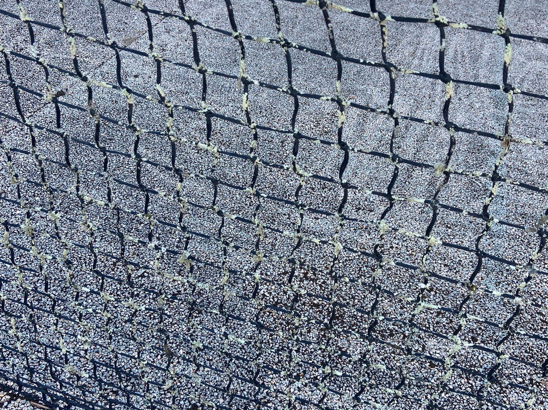 Casa dos Assentos主图