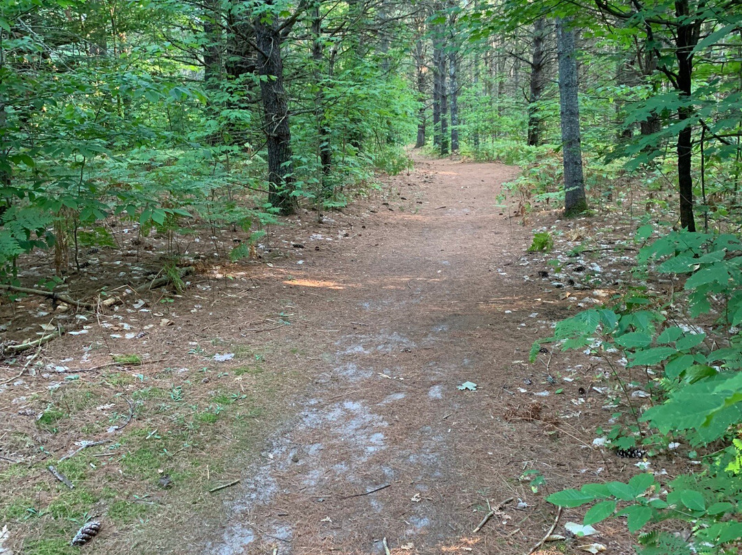 Kalkaska RV Park & Campground