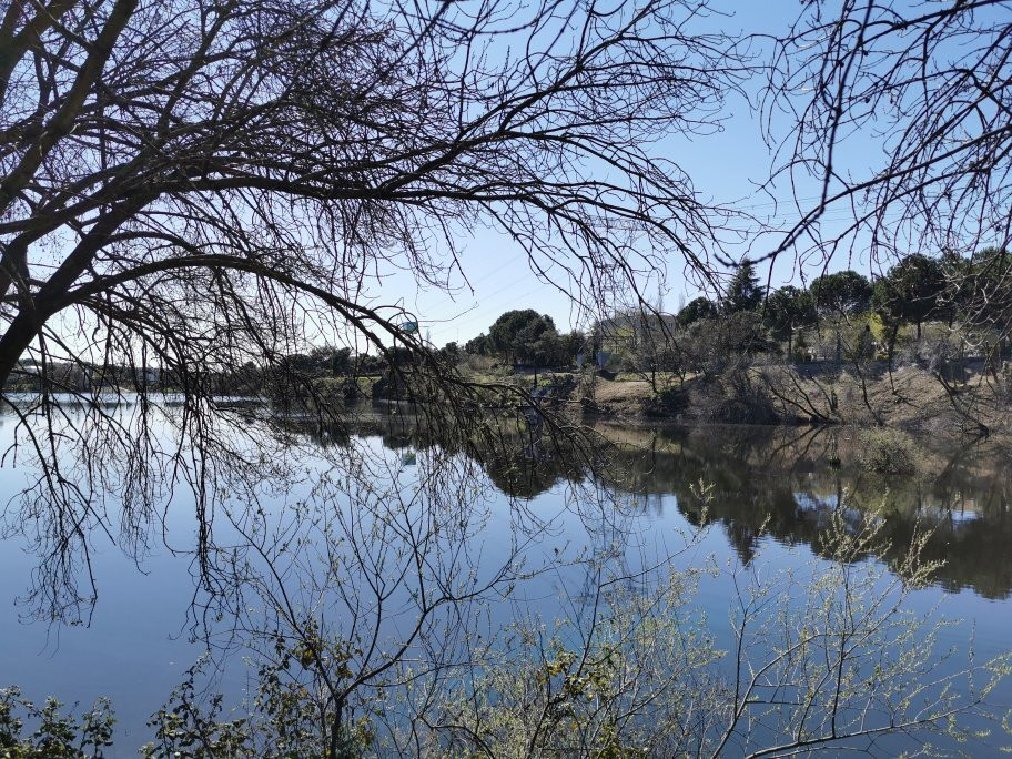 Embalse Del Molino De La Hoz景点图片