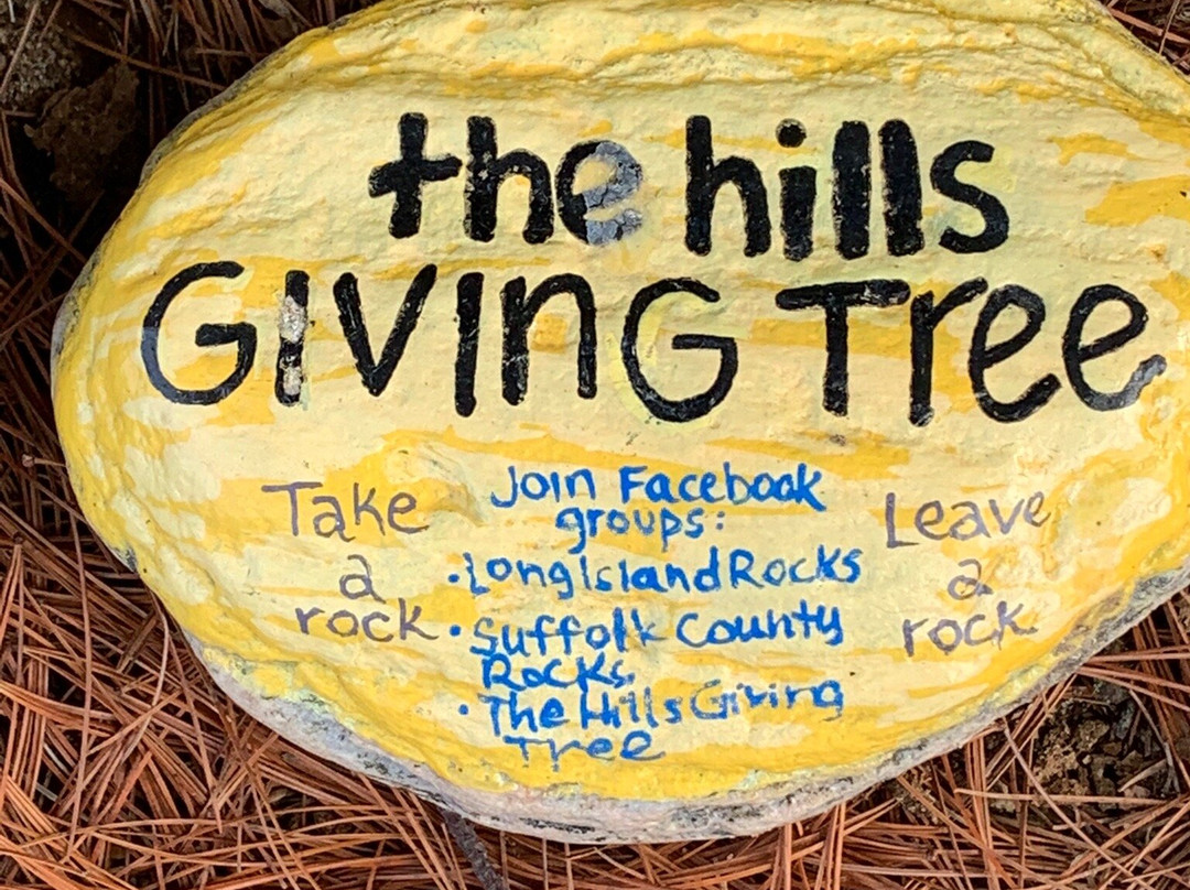 Farmingville Hills County Park景点图片