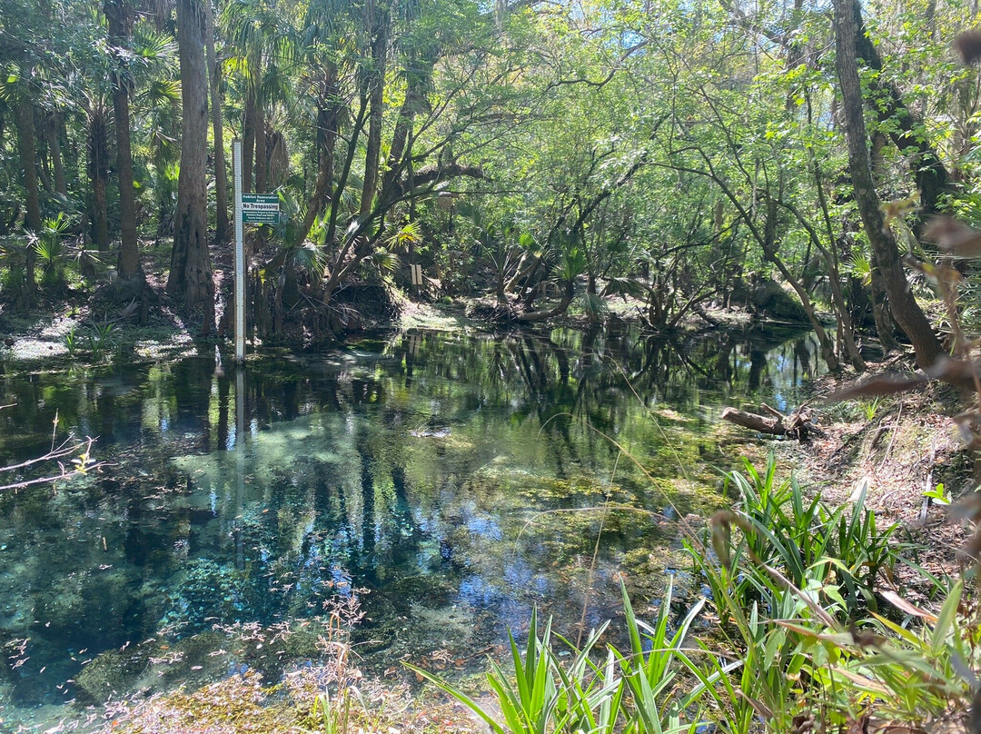 Lithia Springs Park-Lithia必去景点