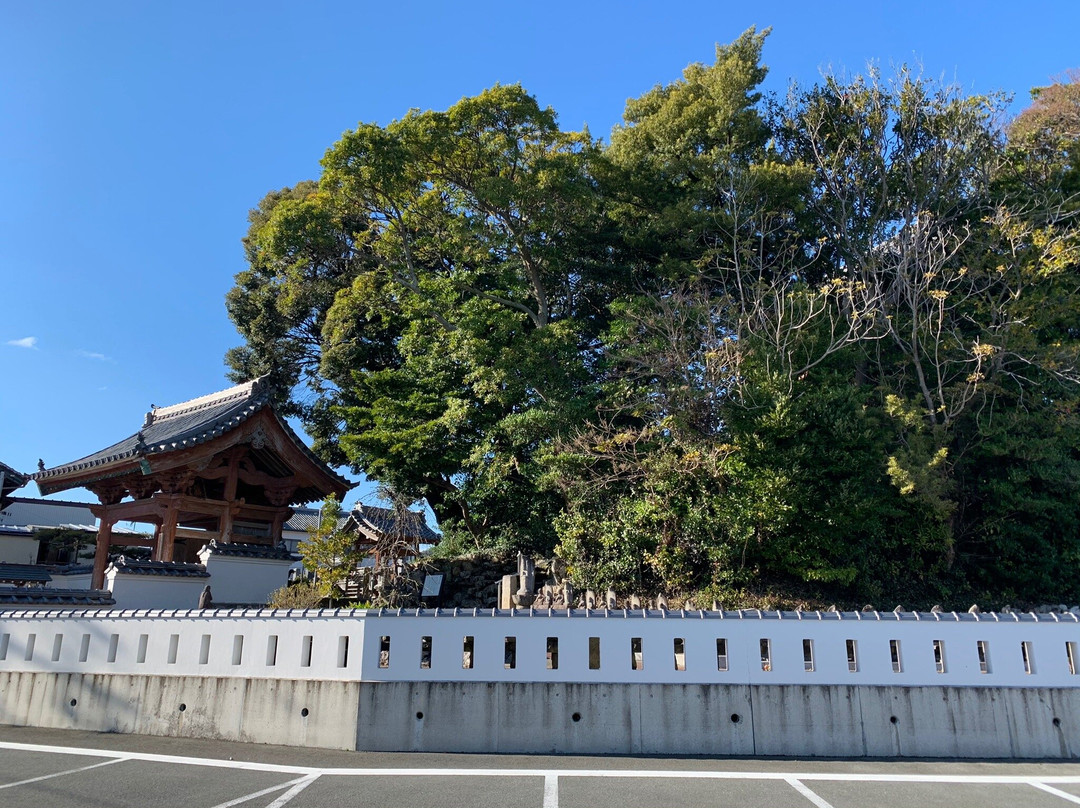 Johoji Temple-田原市必去景点