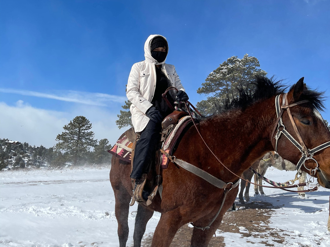 Elkhorn Stables-埃斯蒂斯公园必去景点