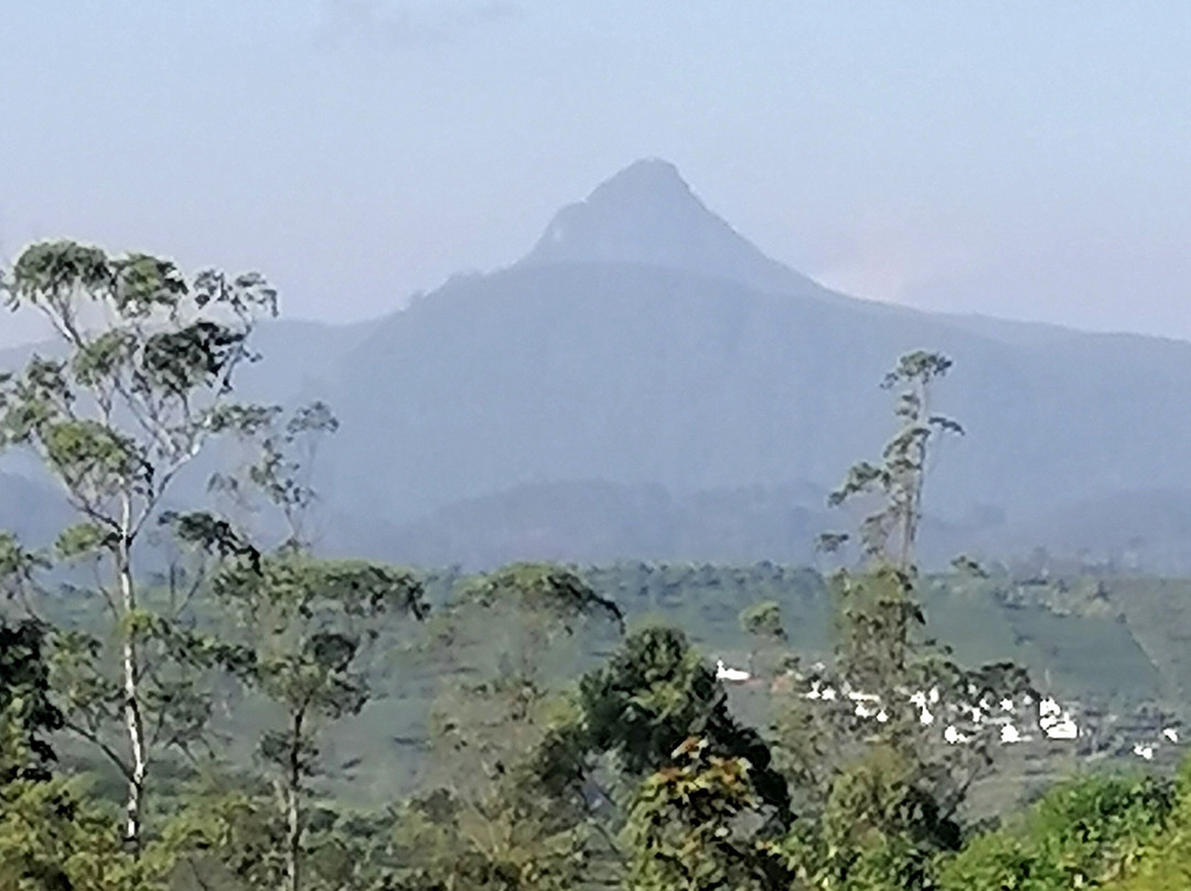 Nandika de silva-瓦都瓦必去景点