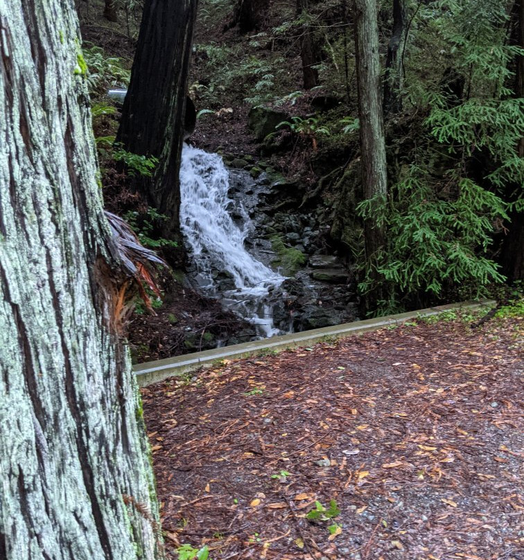 Humboldt Redwoods State Park景点图片