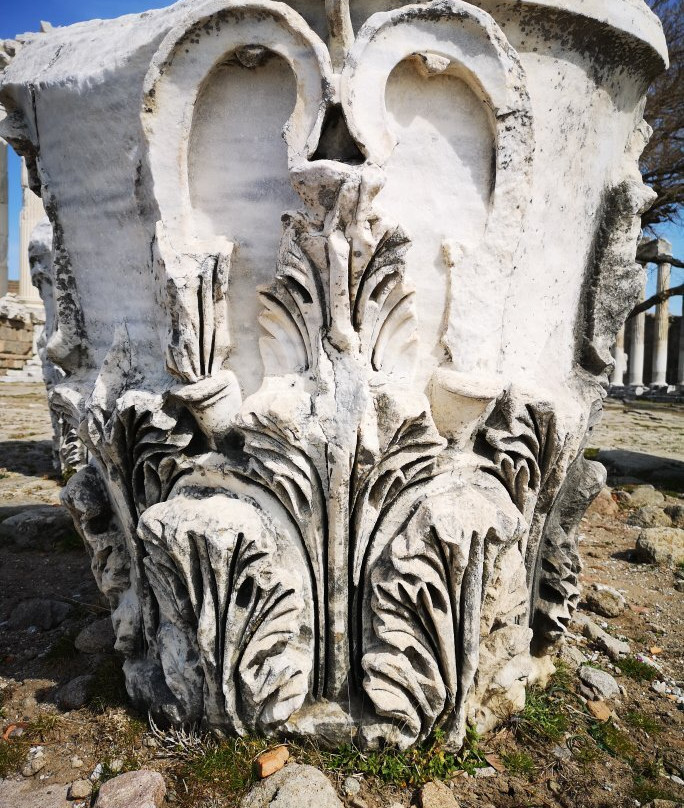 Izmir Bergama Museum景点图片
