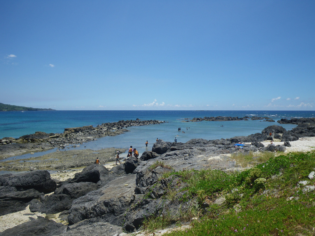 Yakushima National Park-屋久岛町必去景点