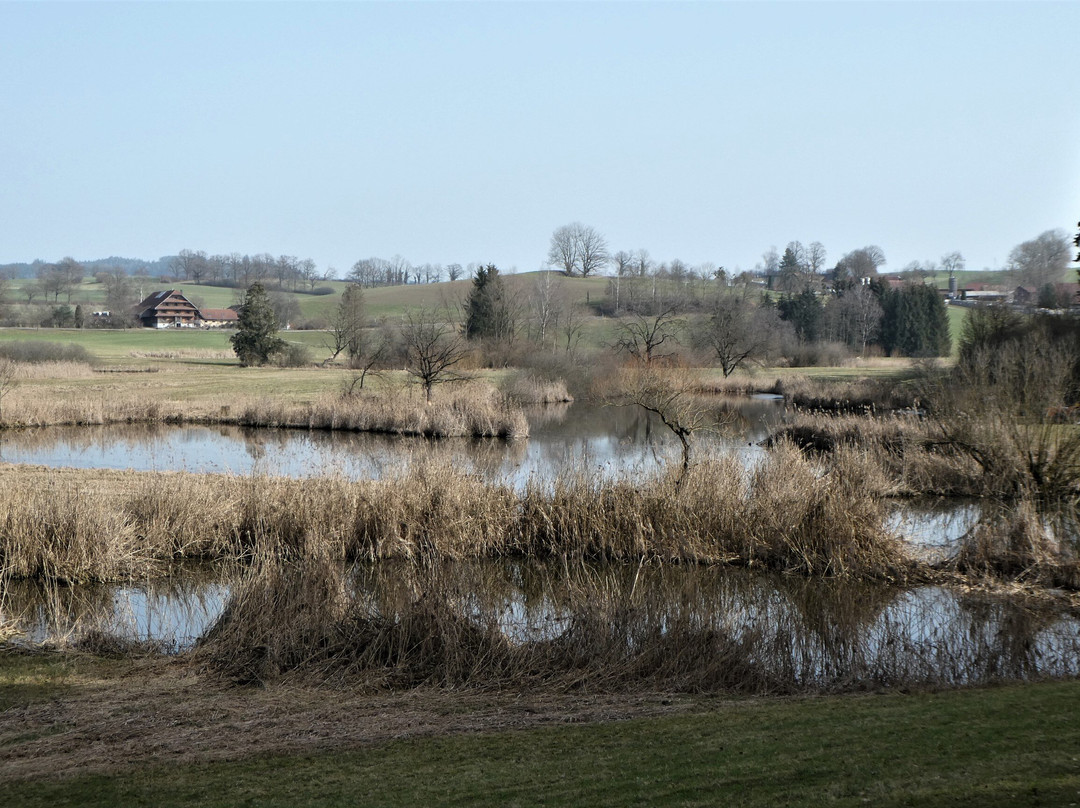 Weiherlandschaft Ostergau-Willisau必去景点