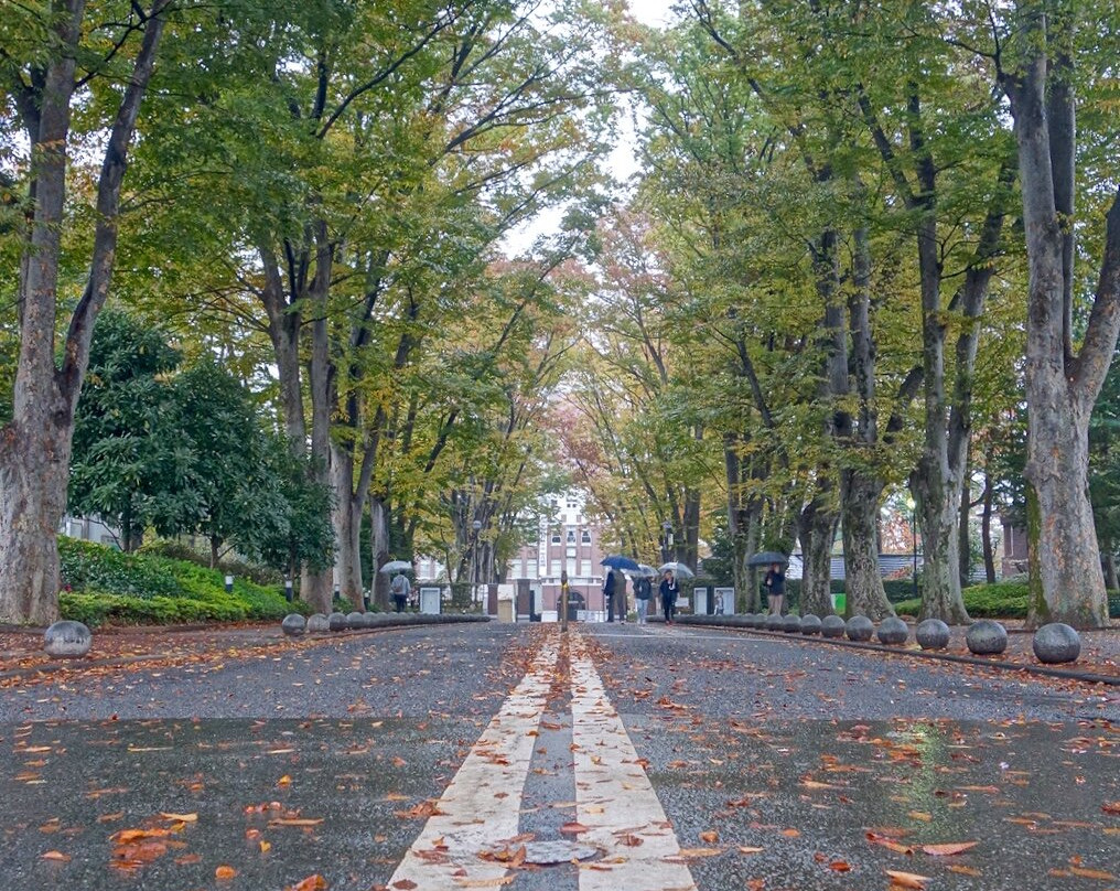 Seikei University-武藏野市必去景点
