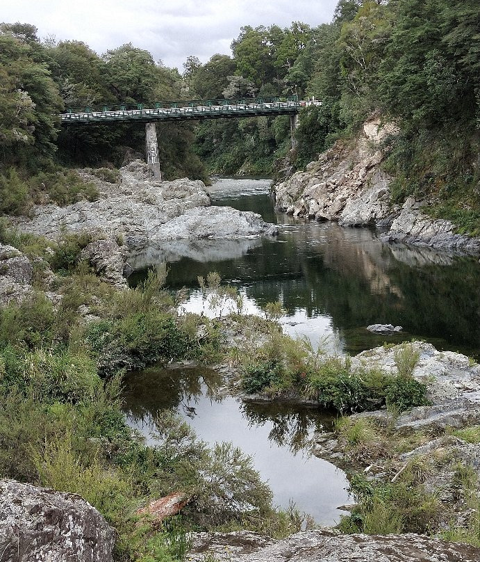 Pelorus Bridge Scenic Reserve景点图片