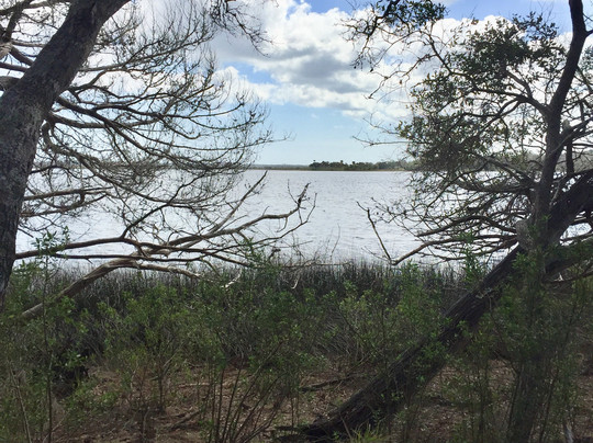 Faver-Dykes State Park-圣奥古斯丁必去景点