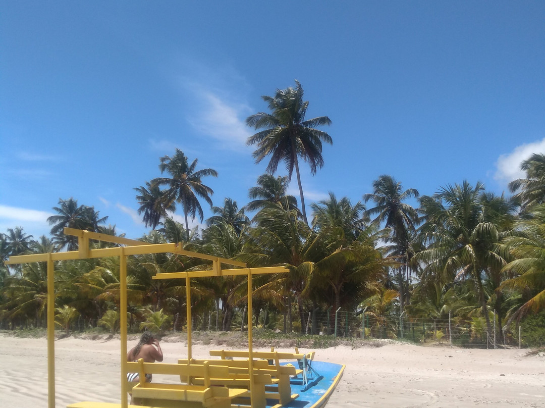 Praia de São Miguel dos Milagres-Sao Miguel dos Milagres必去景点
