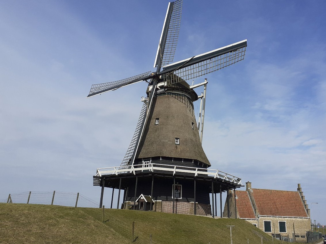 Meelmolen de Herder景点图片